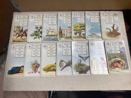 Alte Spielkarten - Vecchie carte da gioco.