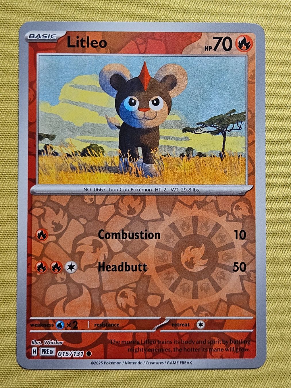Pokémon Carte collezionabili: Prismatic Evolutions - Litleo 015/131 EN – Usato da Bellinzona venduto da Pokemarco