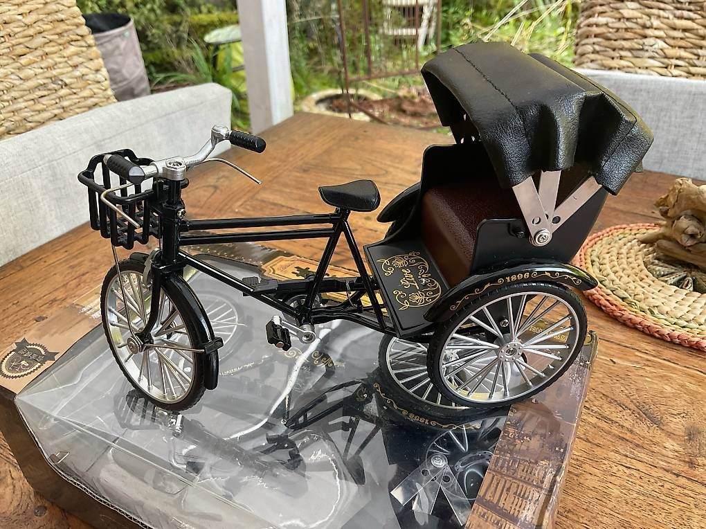 Velos: Rikscha Model – Gebraucht aus Nunningen von south-islander