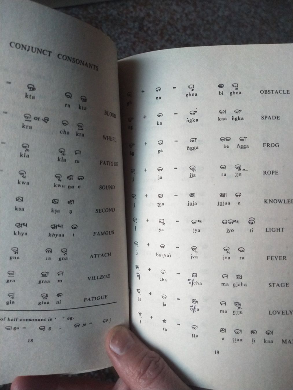 Libri: Learn Oriya in 30 days – Usato da Genève venduto da Lek108 1