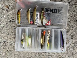 Illex Wobbler Set mit Box diverse Wobbler und Haken