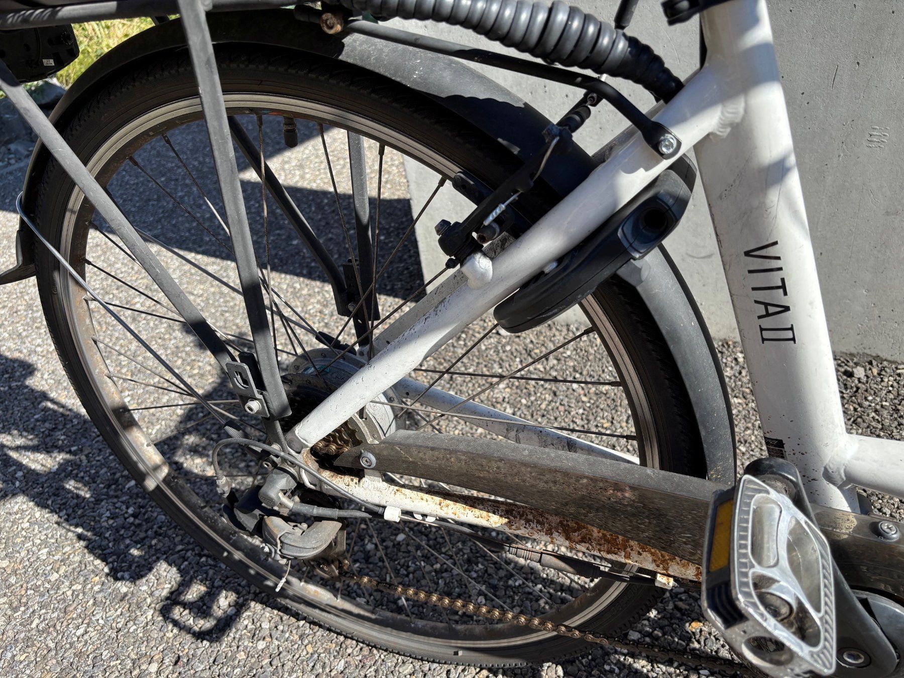 Leopard Biciclette: Elektrovelo Leopard gebraucht – Usato da Thun venduto da 8man 4