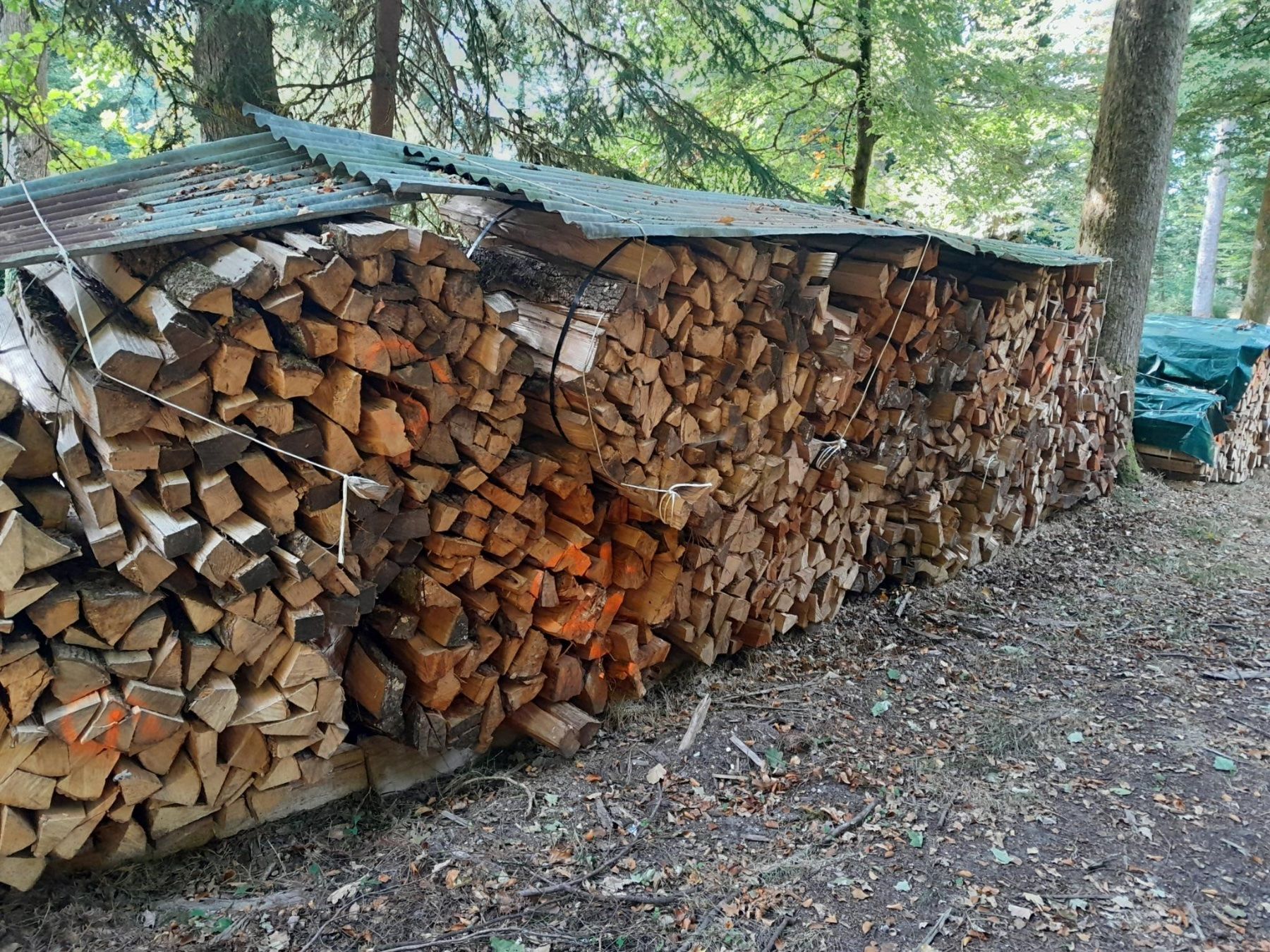Holzartikel: Brennholz gemischt – Gebraucht aus Inkwil von karlheinz07