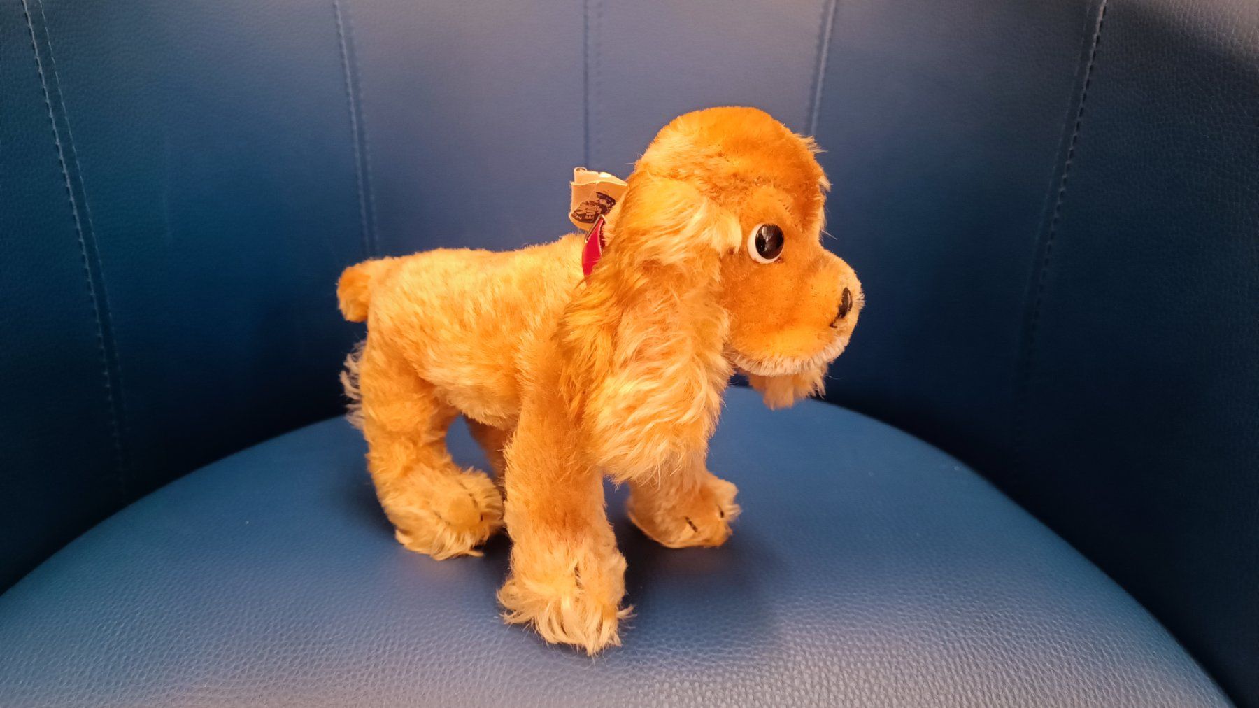 Giocattoli: Steiff Cocker Spaniel Hund Cockie Vintage – Usato da Reiden venduto da Zofi-Brocki 1