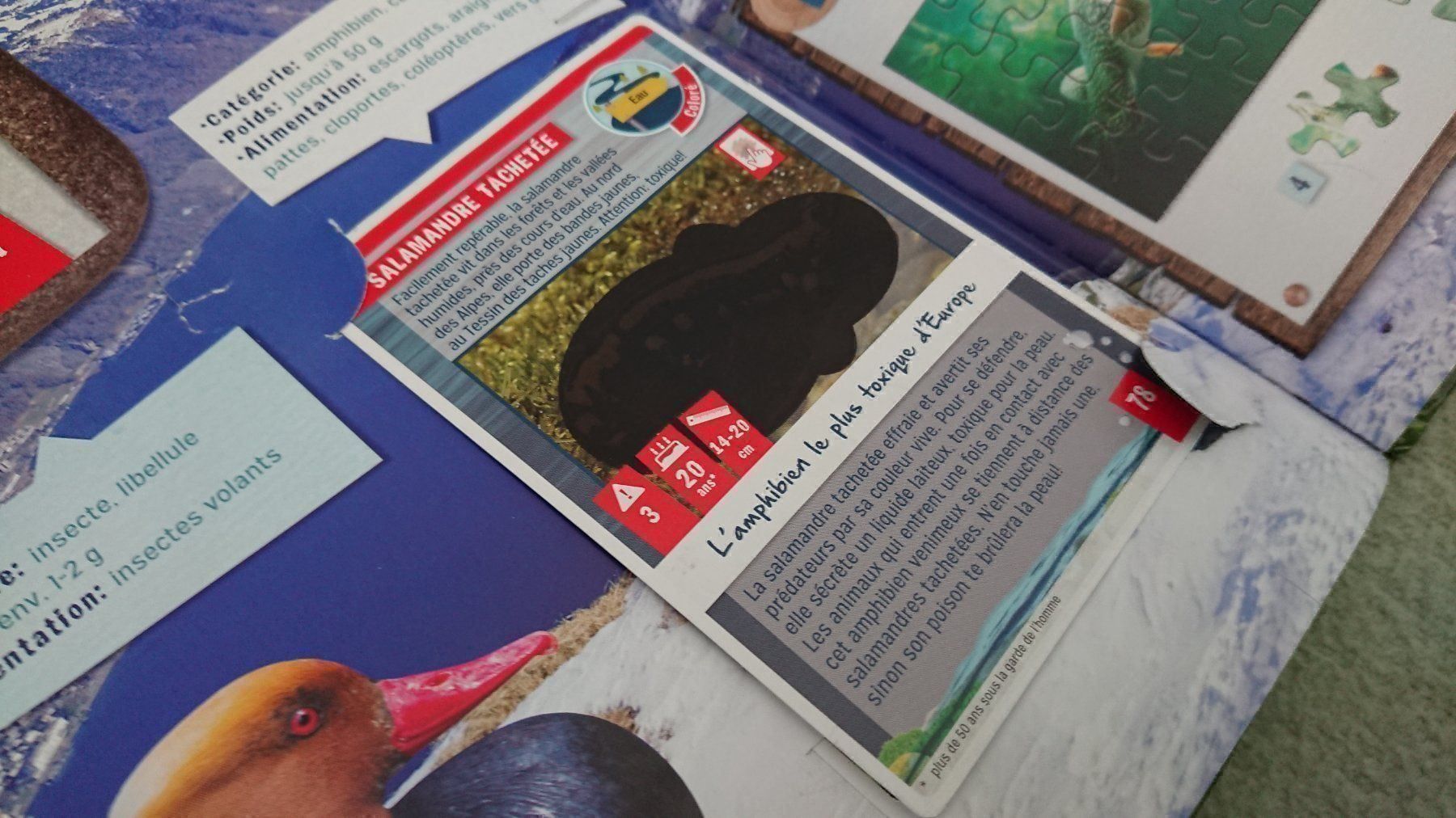 Libri: La Nature Quelle Aventure – Usato da Cortaillod venduto da signep 5