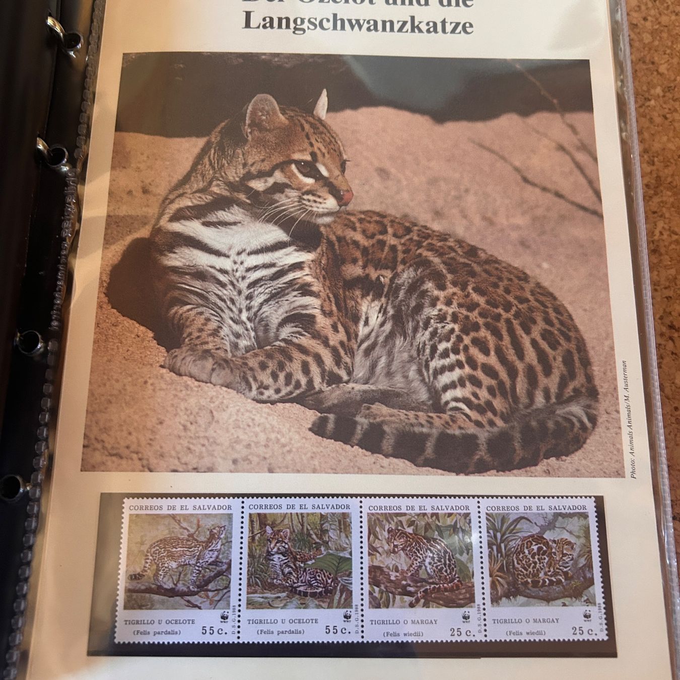 WWF Album: WWF Briefmarkenalbum TIERE – Usato da Laufen venduto da belleskulptur 3