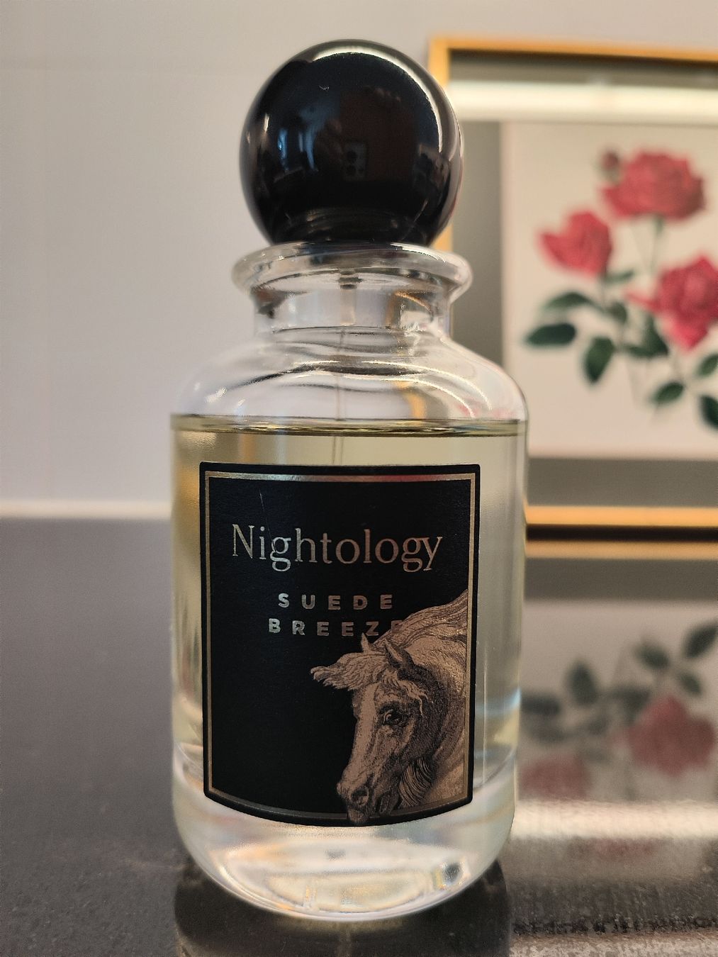 Profumi & Eau de Toilette: Nightology Suede Breeze 100 ml – Usato da Carouge GE venduto da pro_xrm5