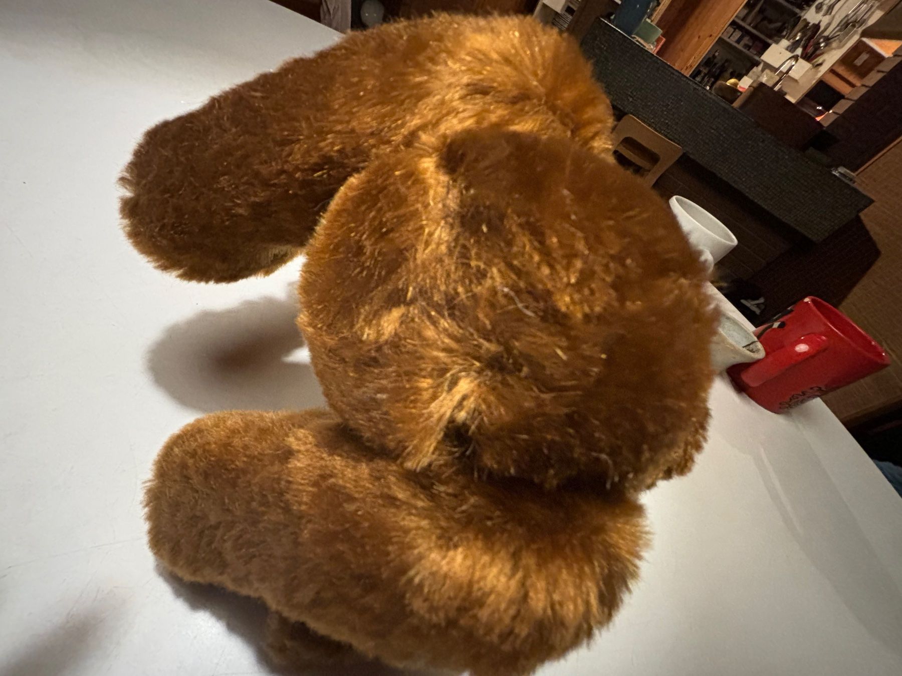Steiff Giocattoli: Steiff Bär Steiff Club Edition 2003 – Usato da Hinwil venduto da DaniBachman 5