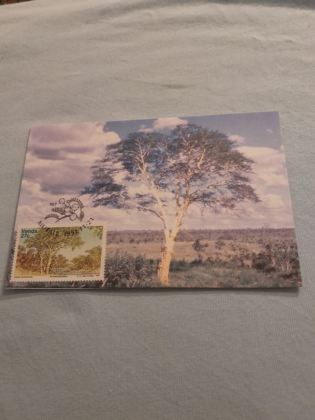 Tutti i francobolli: Carte postale de collection - Thème arbre & nature! – Usato da Marly venduto da globetrotter1723