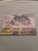 Carte postale de collection - Thème arbre & nature!