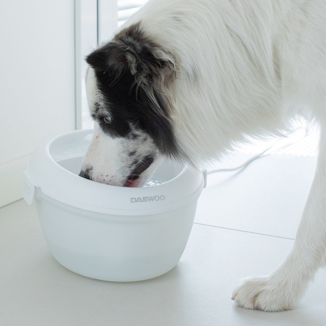 Teiche & Zierbrunnen: Daewoo Automatic Pet Water Fountain – Neu und originalverpackt aus Hitzkirch von Thali_AG 6