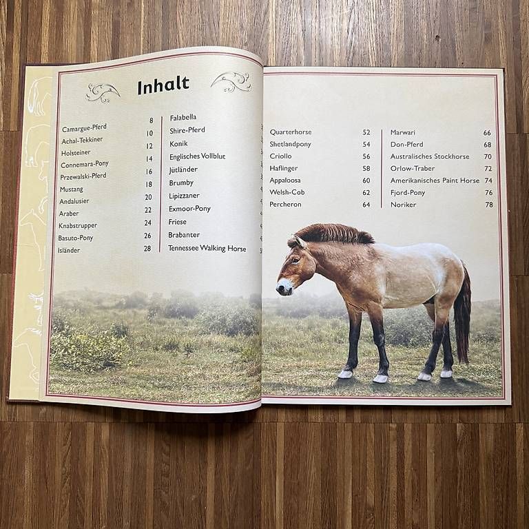 Libri: Das Riesenbuch der Pferde und Ponys – Usato da Basel venduto da AMV_14a 1