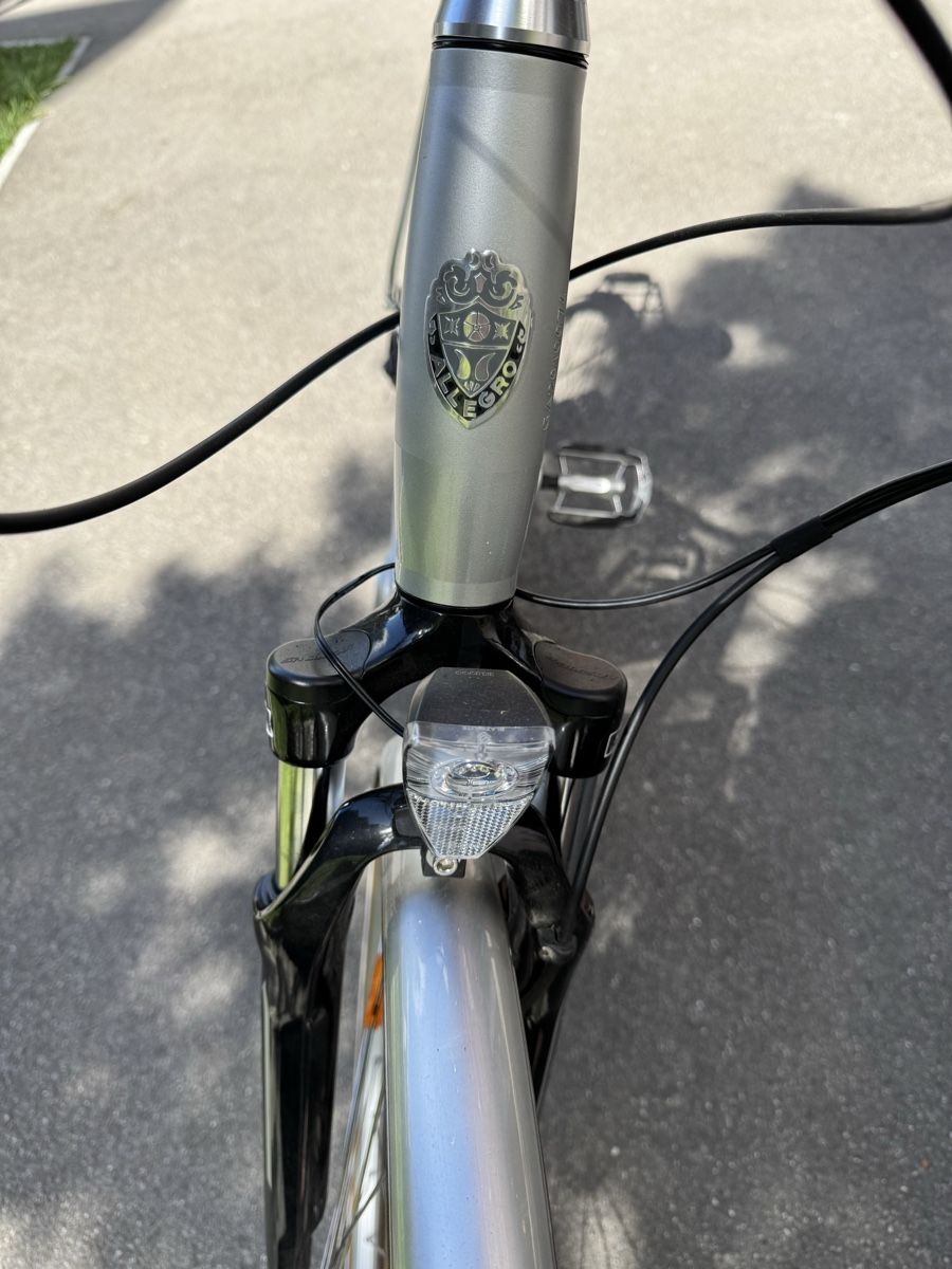 Biciclette: Allegro E-Bike, Top Zustand – Usato da Zürich venduto da MarcelMarina 5
