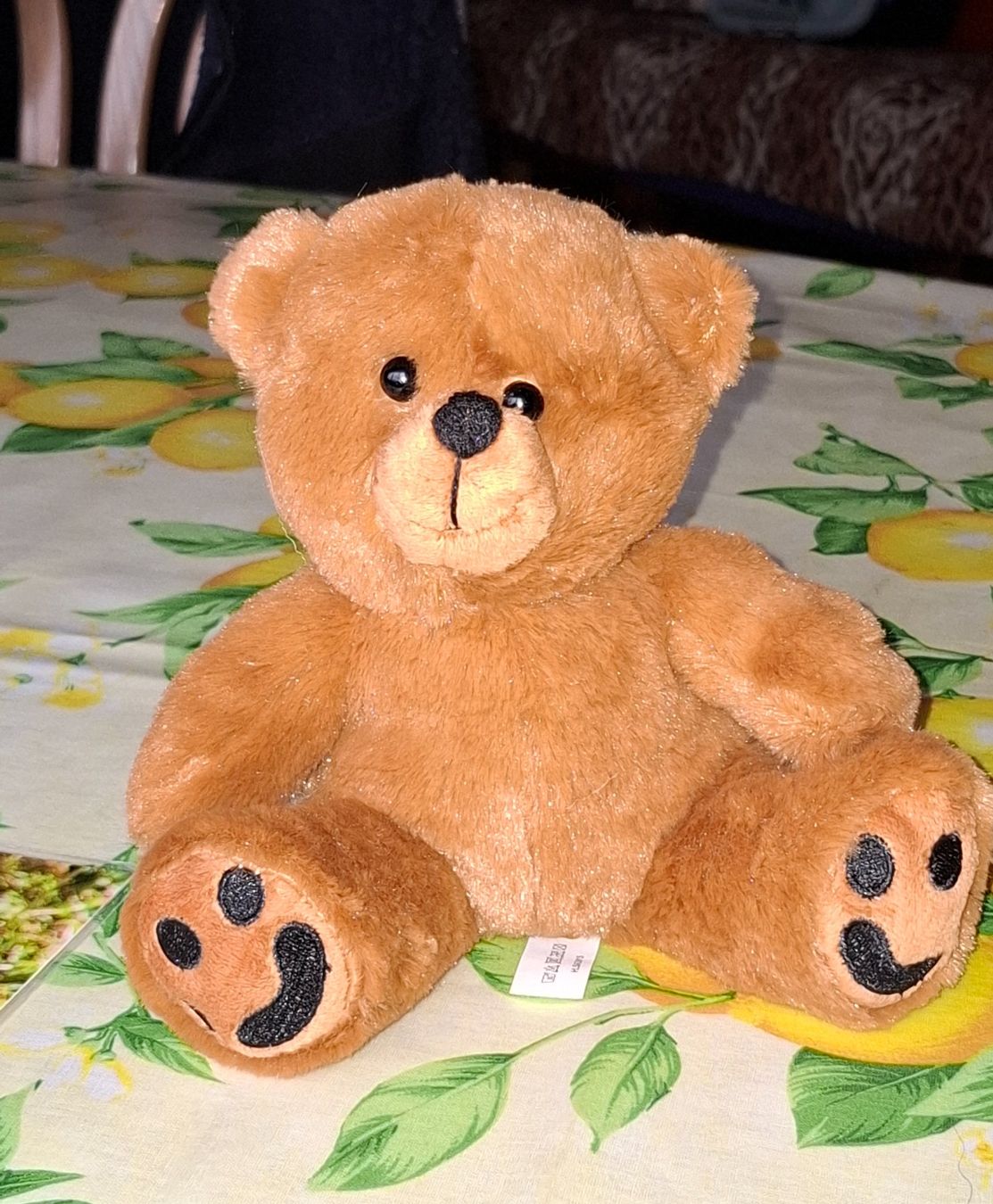 Spielzeuge: Süsser Teddybär sucht neues Zuhause – Gebraucht aus Plagne von Reticulum01 5