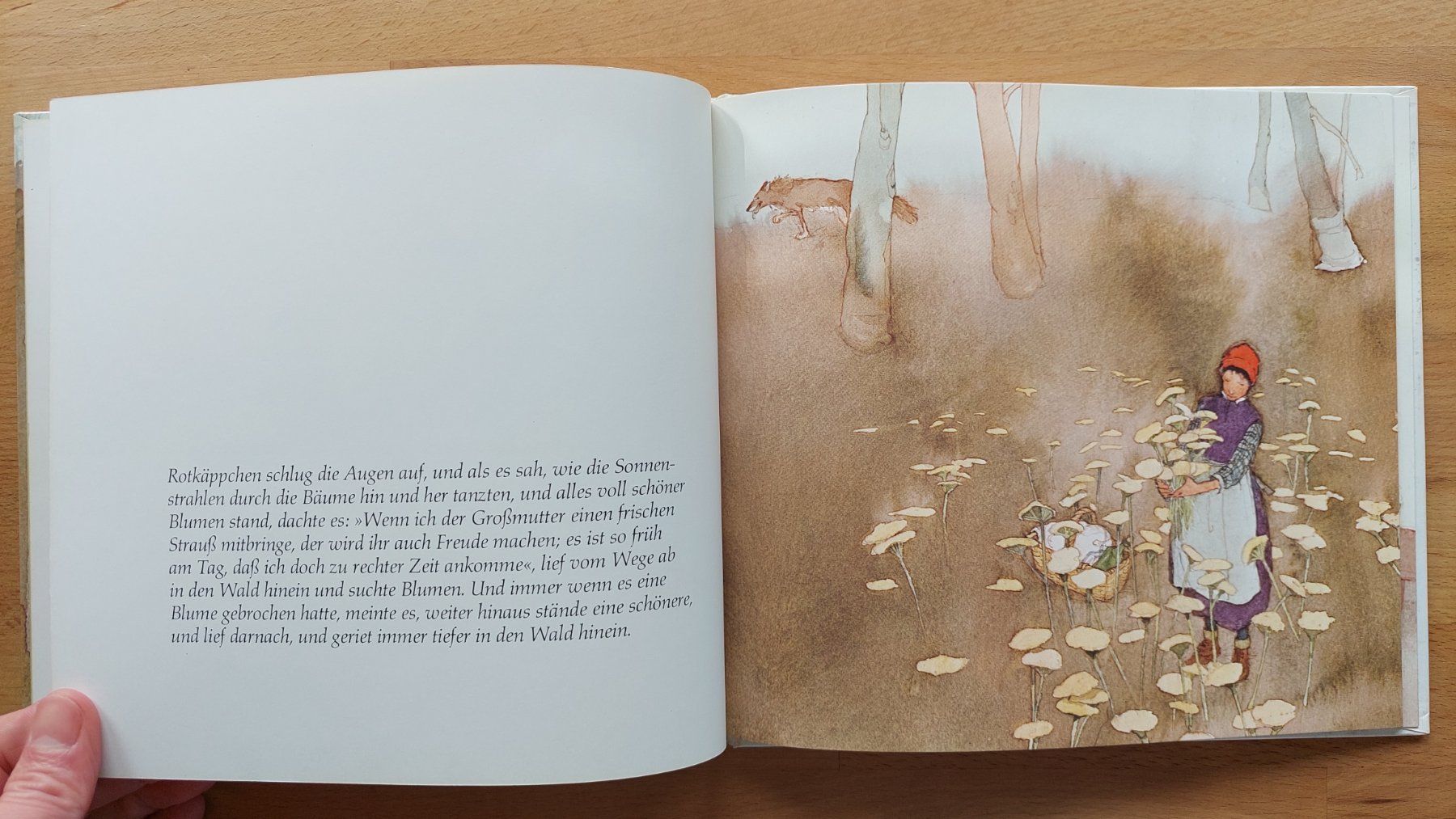 Libri: Brüder Grimm Rotkäppchen - Lisbeth Zwerger – Usato da Obfelden venduto da Foto_Bild_Kunst_Buch 5