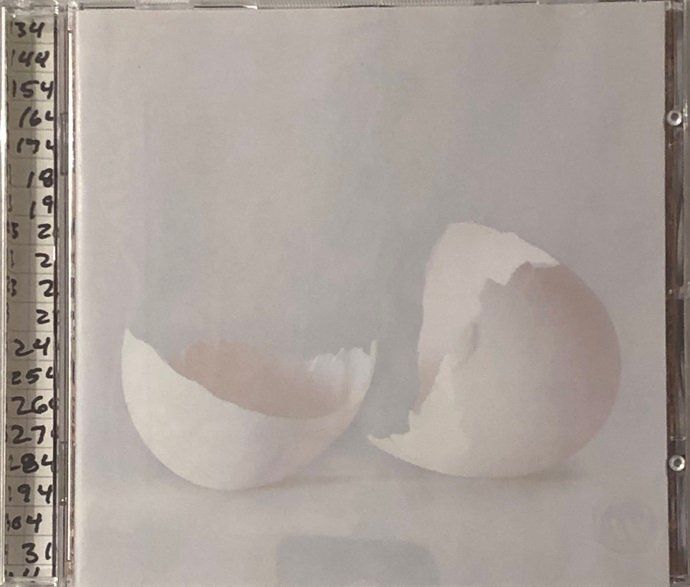 CD: Wilco - A ghost is born – Usato da Grüningen venduto da azulverde 1