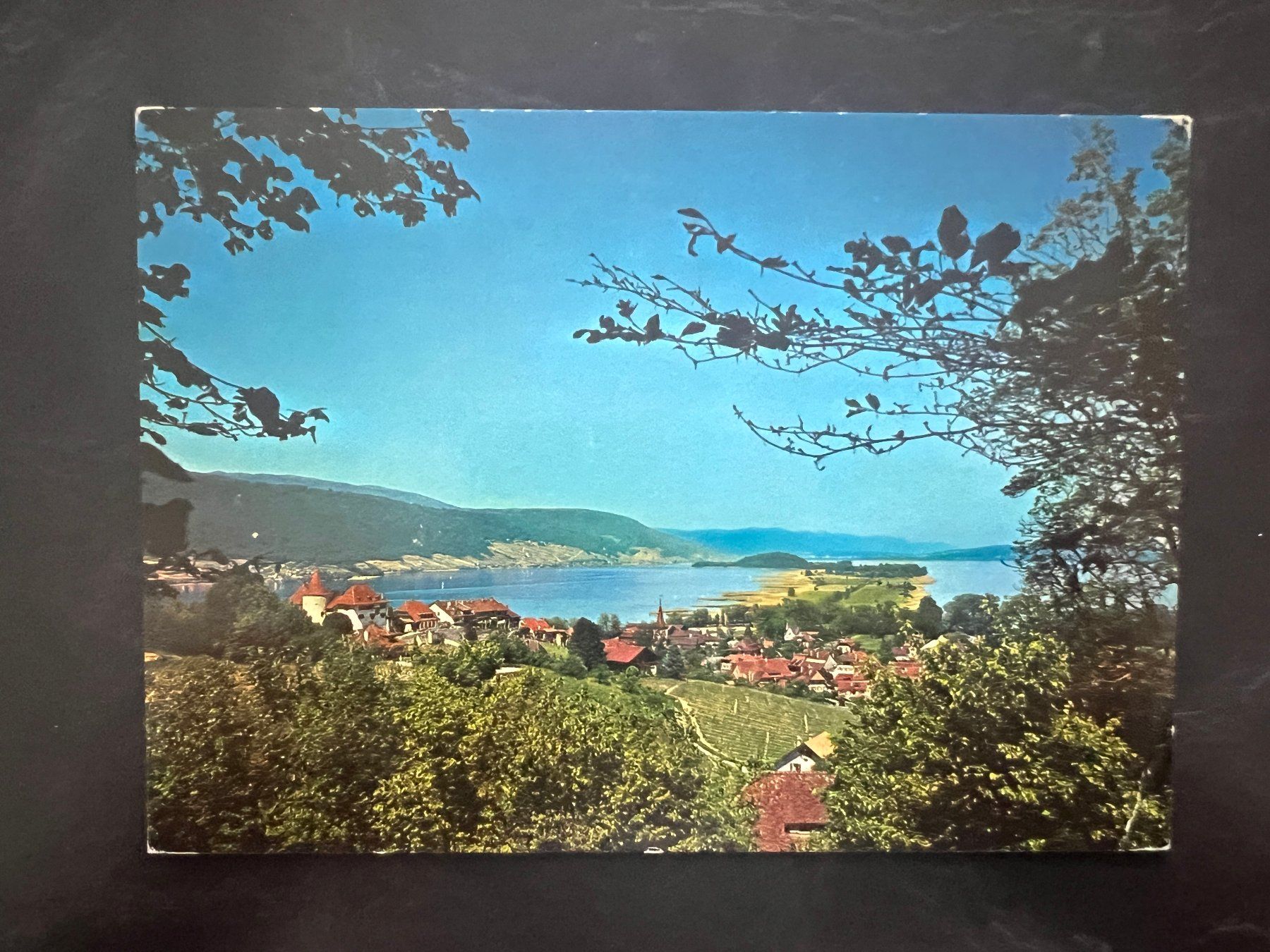 Ansichtskarten: AK  1978 Erlach (G3376) – Gebraucht aus Hinwil von Sidi4