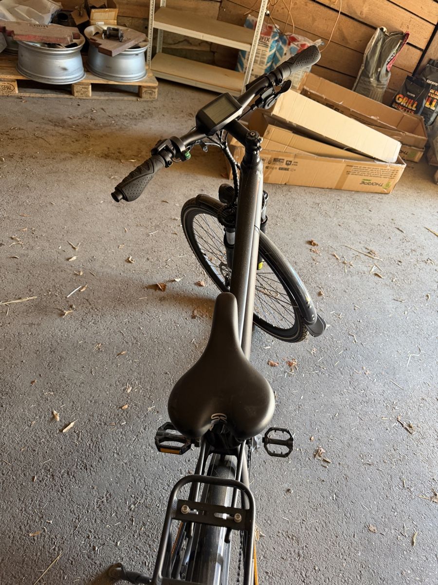 Trelago Biciclette: TRELAGO E-Velo 45 km/h – Usato da Oschwand venduto da joe_xzp7 3