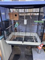 Vögel Käfig und Zubehör ohne Vögel 