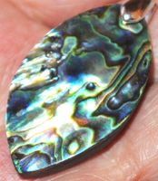 Anhänger L-5796 – Abalone Muschel Cabochon 36x20mm