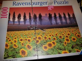 Puzzle Sonnenblumenfeld B
