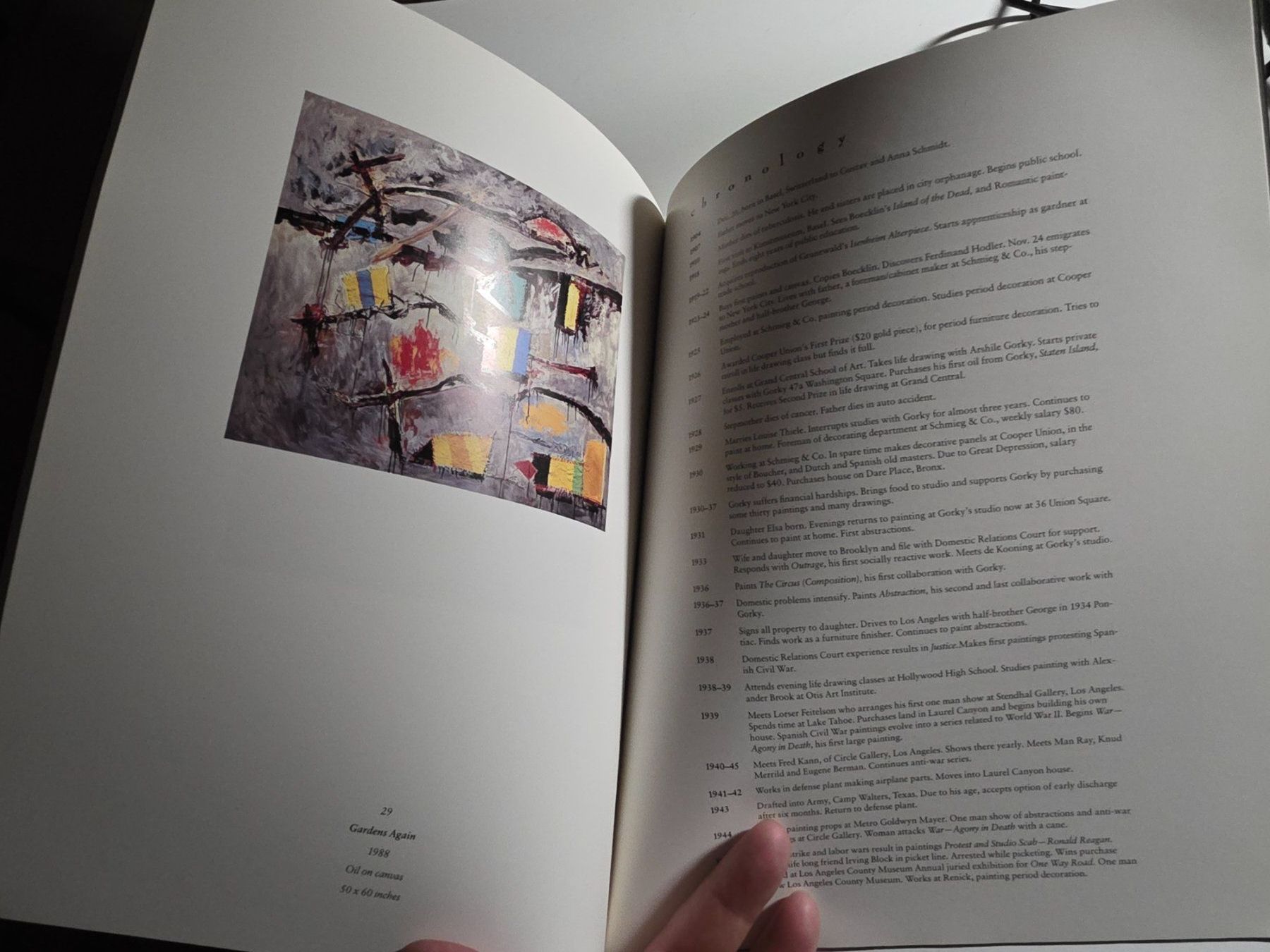 Libri: Hans Burkhardt - Catastrophe - Donald Kuspit 1990 – Usato da Walterswil BE venduto da Lonitti 8
