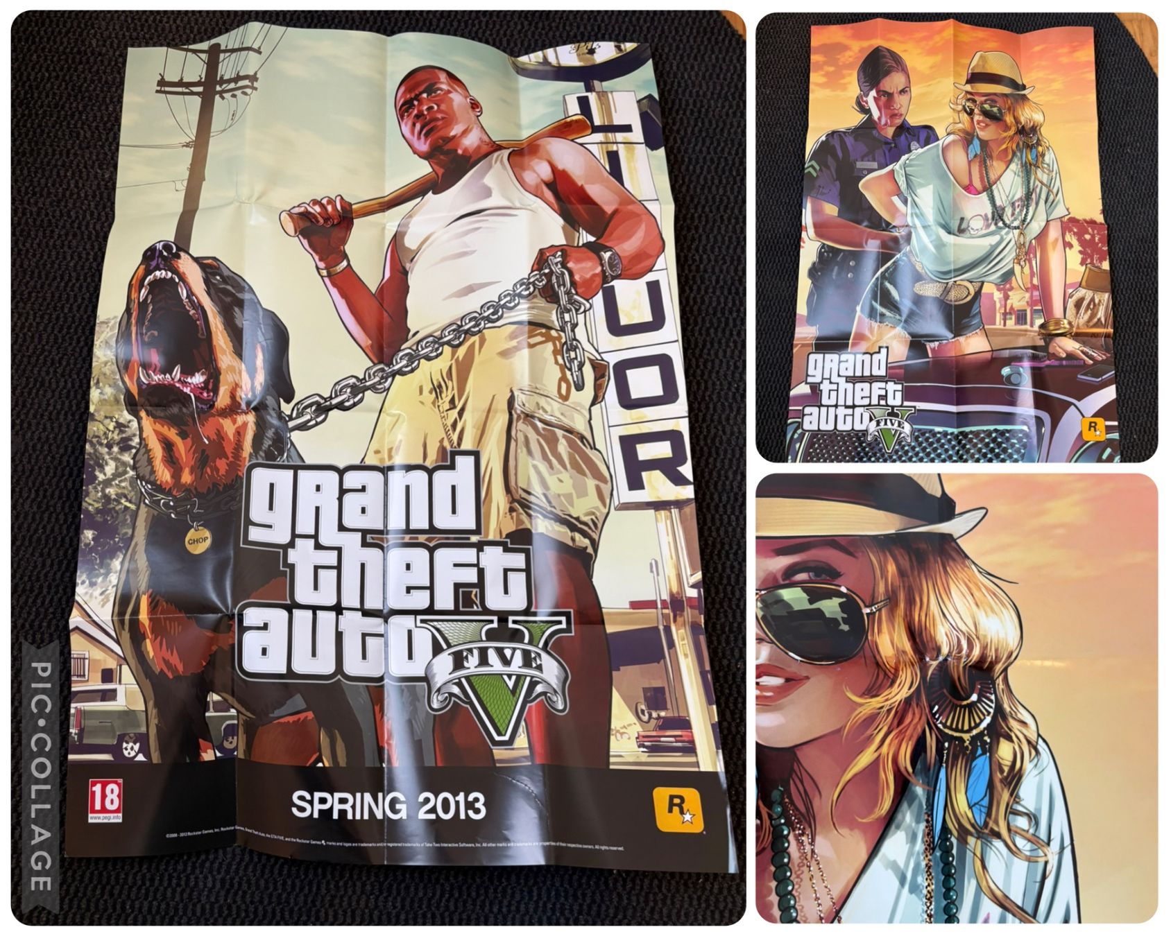 Giochi: Gta 5 Collectors Edition – Usato da Zürich venduto da lin_2f6p 5