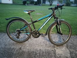 Bergamont Kinder Velo