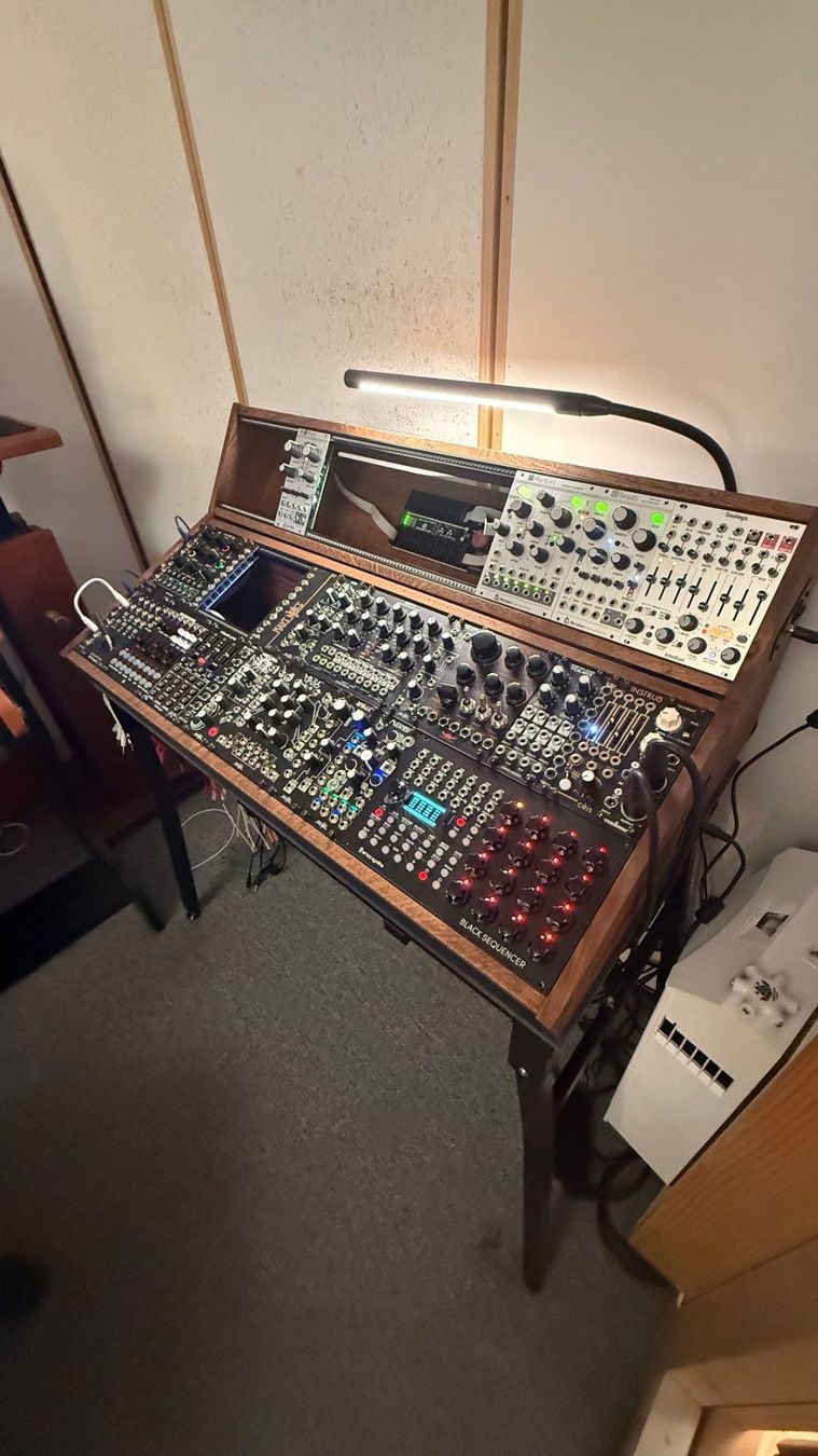 Musikinstrumente: Modular Case von 2 many Synths – Gebraucht aus Niederglatt ZH von Bluevortex 1