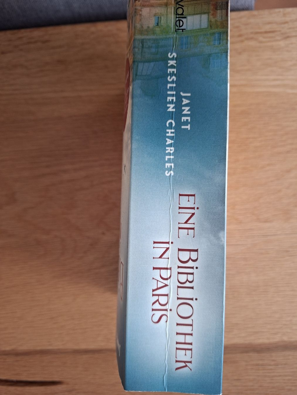 Livres: Eine Bibliothek in  Paris – D'occasion à Appenzell par palme14 2