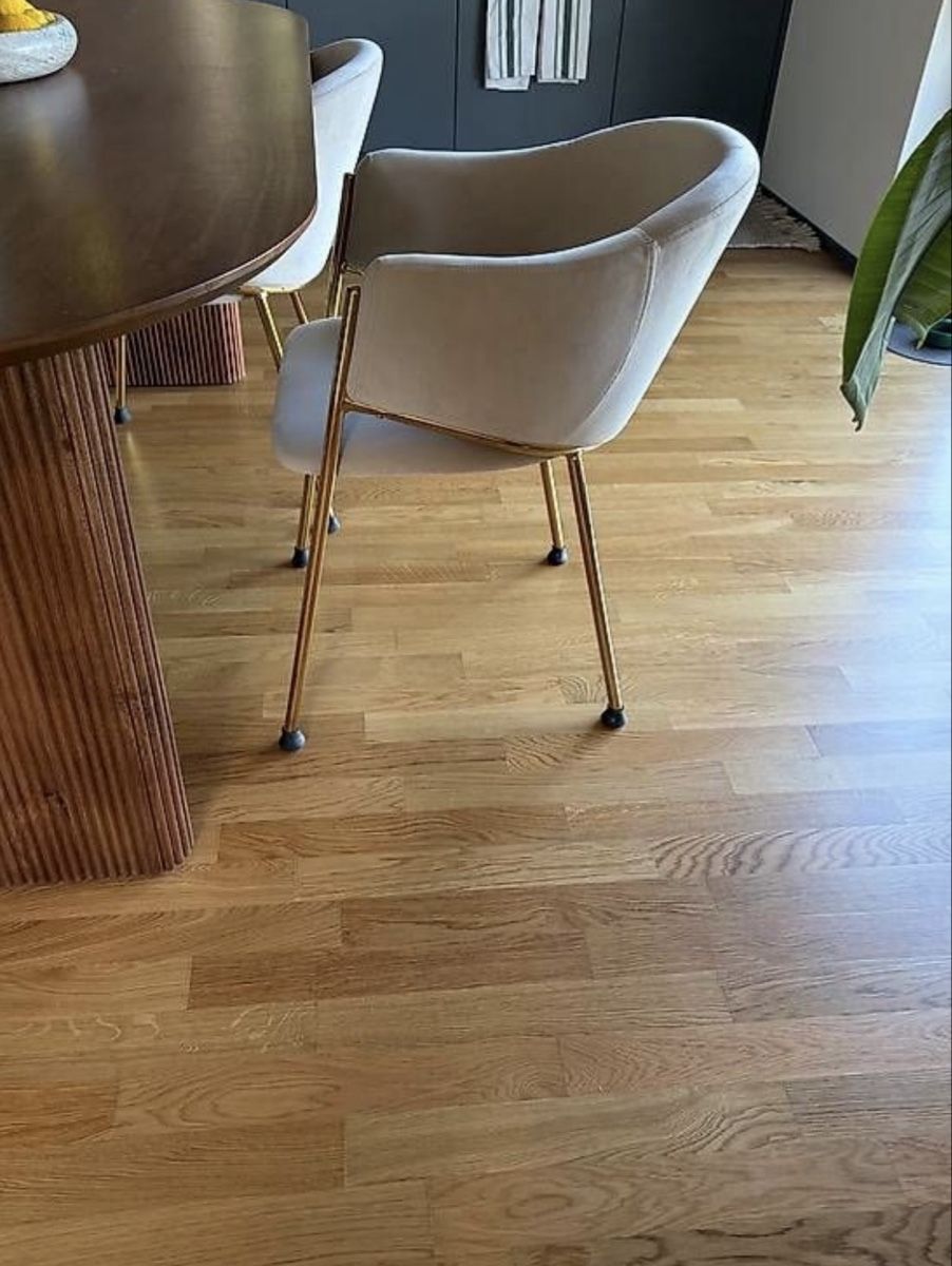 Sedie: 6 Samtstühle beige – Nuovo (secondo la descrizione) da Wädenswil venduto da sinuuro 2