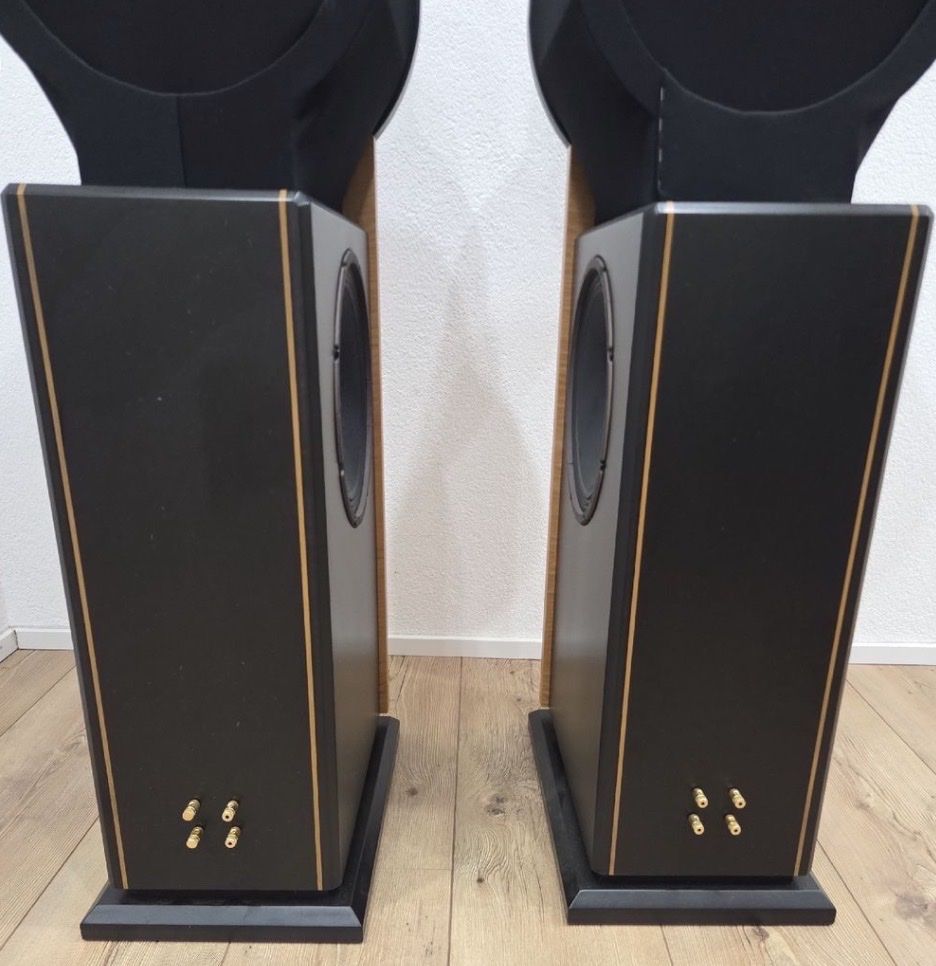 Casse acustiche: Bastanis APOLLO - Open Baffle Lautsprecher - TOP – Nuovo (secondo la descrizione) da Wald ZH venduto da RIVAAUDIOEMOTIONS 6
