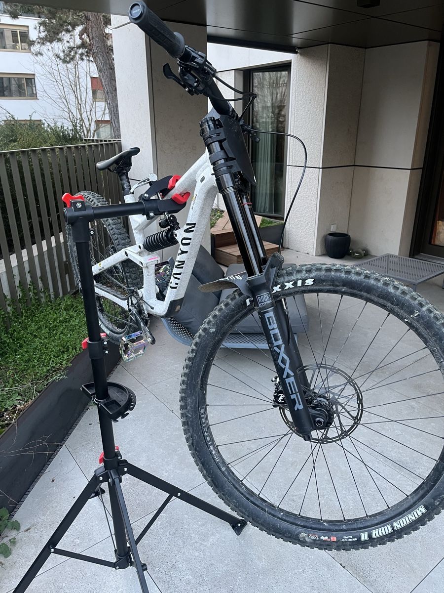 Canyon Biciclette: Canyon Torque dh AL – Usato da Zürich venduto da le_dodo 2