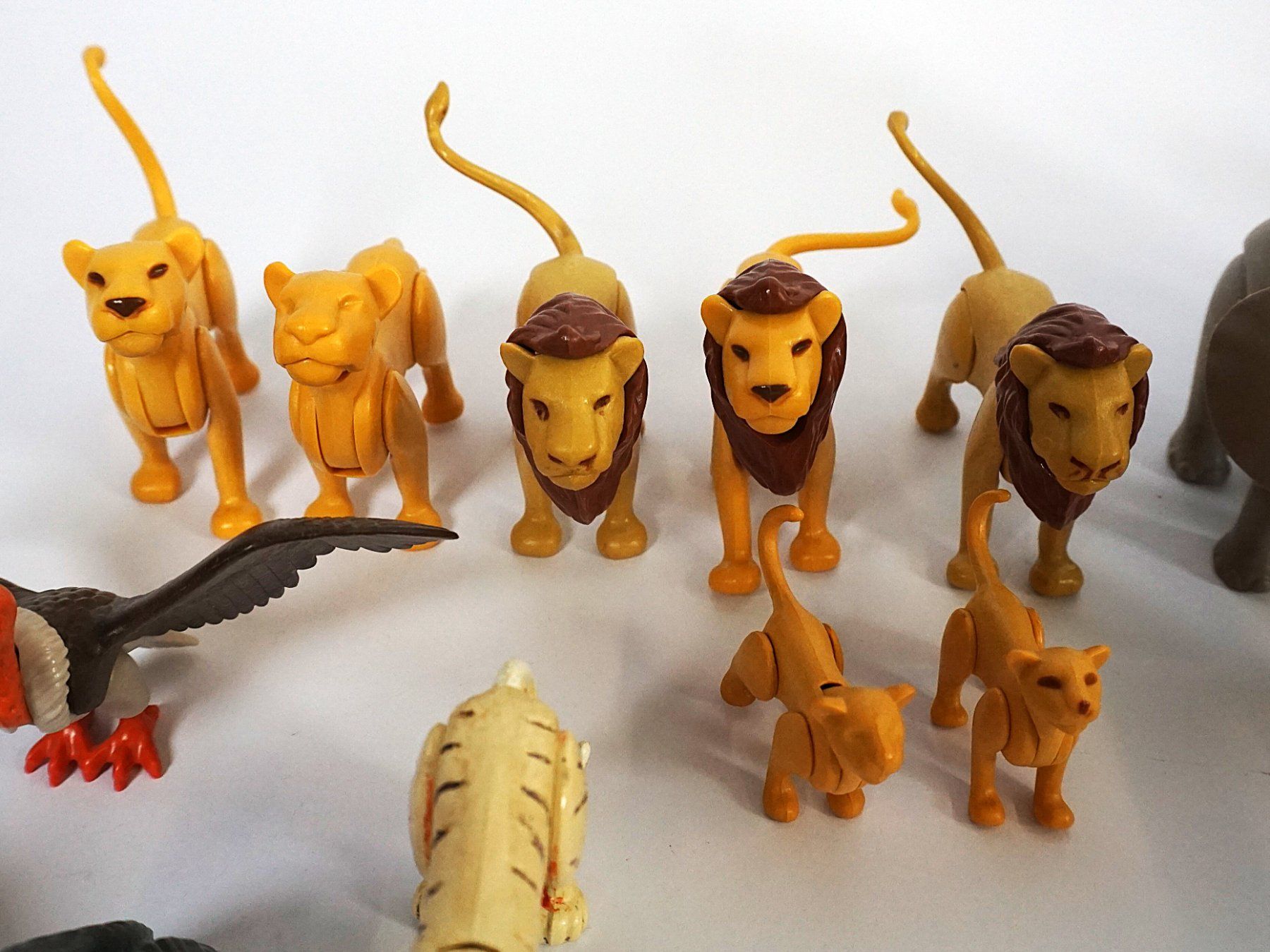 Playmobil Giocattoli: Playmobil Tier Set – Usato da Pratteln venduto da Restwert_Pratteln 6