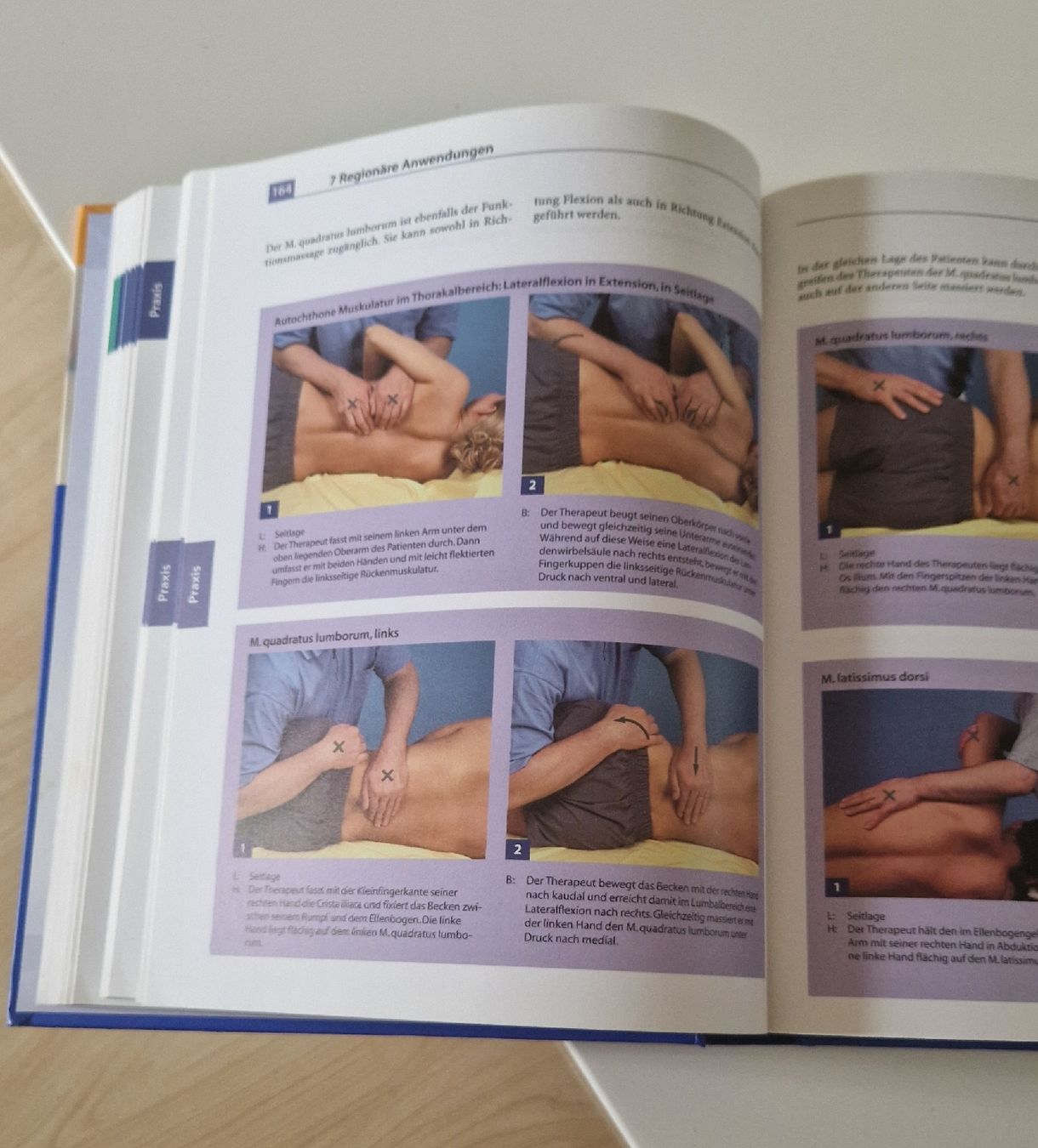 Libri: Massage Bernard C. Kolster Physiotherapie Basics Buch – Usato da Dällikon venduto da san_qgb 3