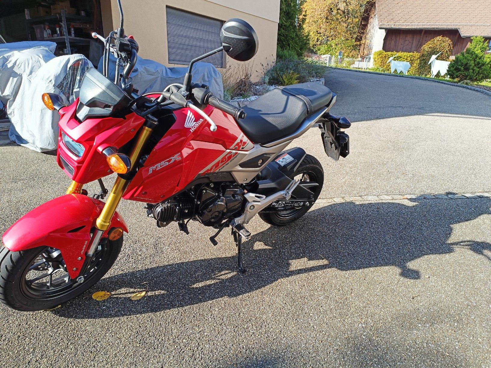 Honda Route: Honda MSX 125 – D'occasion à Günsberg par Dingdeling 2