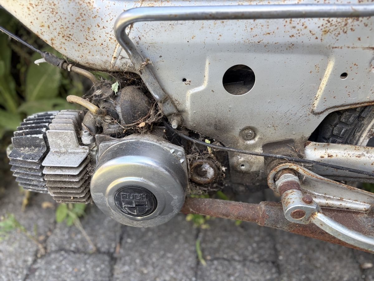 Puch Ciclomotori: Mofa Puch Maxi LG1 mit Ausweis – Difettoso da Latterbach venduto da Bbutz98 4