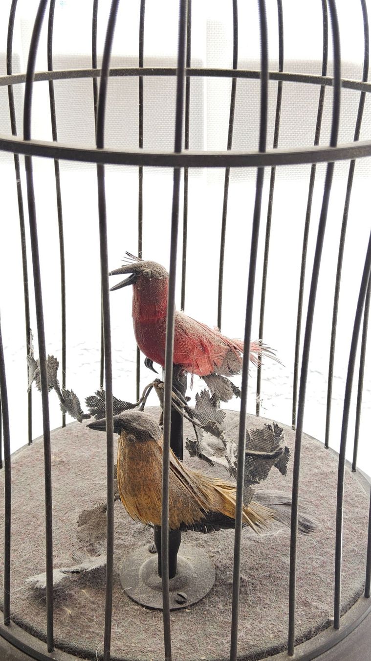 Carillon: Ancienne boîte à musique oiseaux chanteurs – Usato da Malleray venduto da Frederic24 2