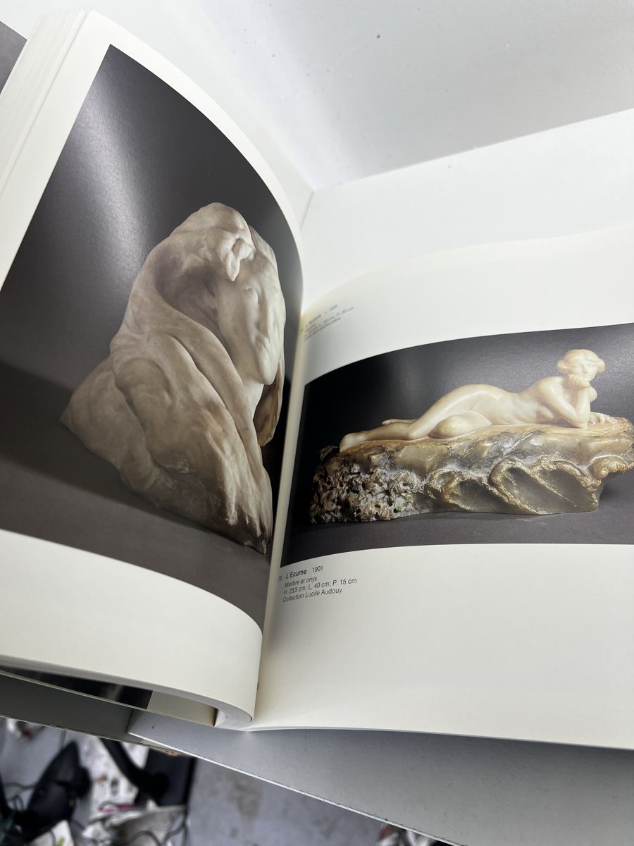 Libri: c. claudel - Fondation Pierre Gianadda – Usato da Wettingen venduto da NickInc 4