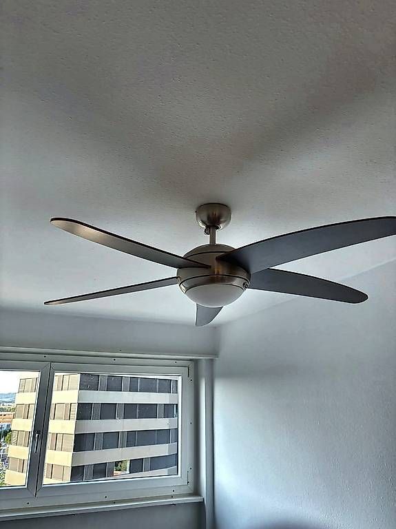 Ventilatori: Deckenventilator mit Deckenleuchte, Chrom/Grau  CHF 40 – Usato da Stansstad venduto da joh_lyy8
