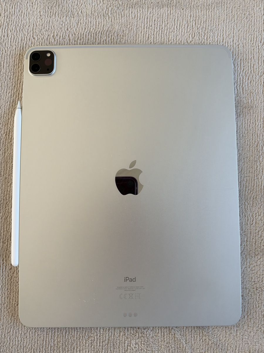 Apple Tablet PC: iPad Pro (12.9 inch) 5th Generation – Gebraucht aus Appenzell Meister. von marzbar8 2
