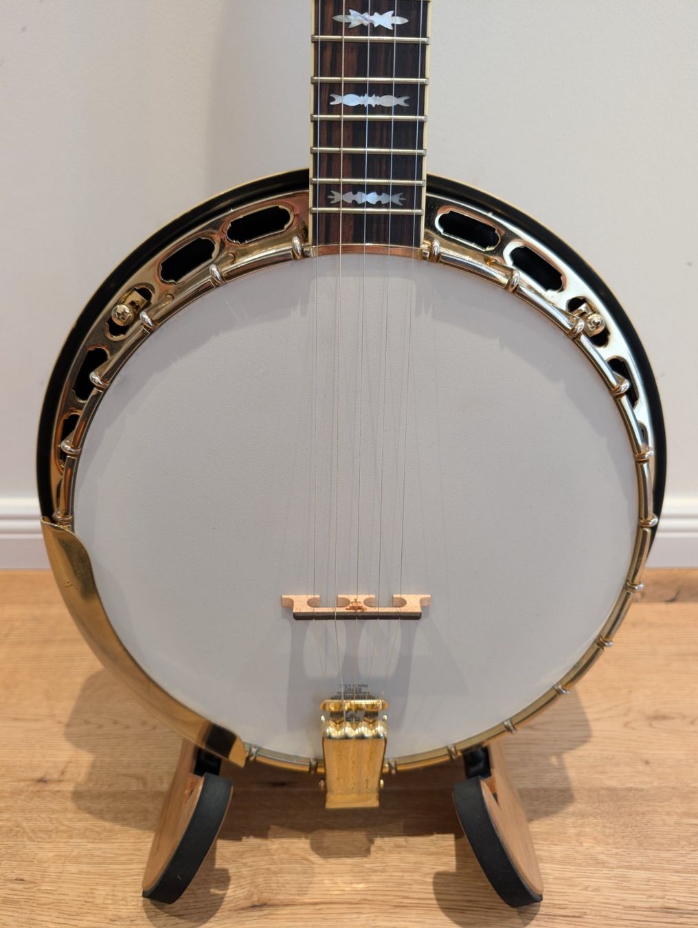Fender Musikinstrumente: Fender FB-59 5-String Banjo – Gebraucht aus Amlikon-Bissegg von Cubiestar 1