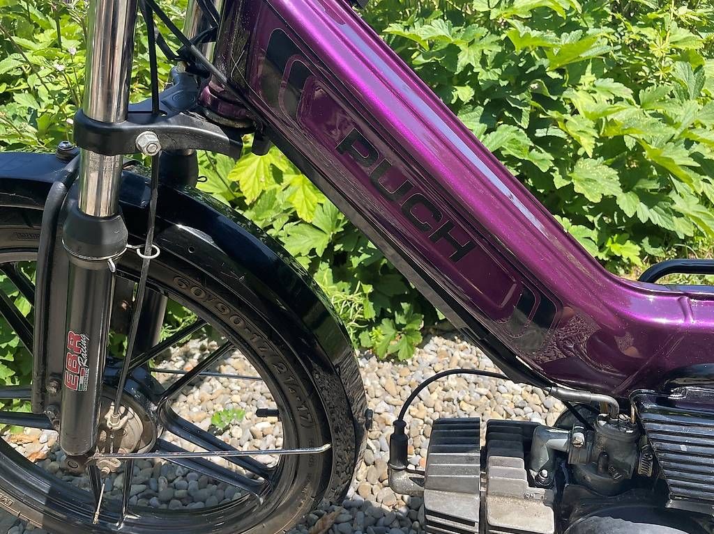 Mofas: Puch Maxi N – Gebraucht aus Höfen b. Thun von Pritt1 3