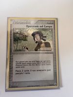 Operatore sul campo - trainer 