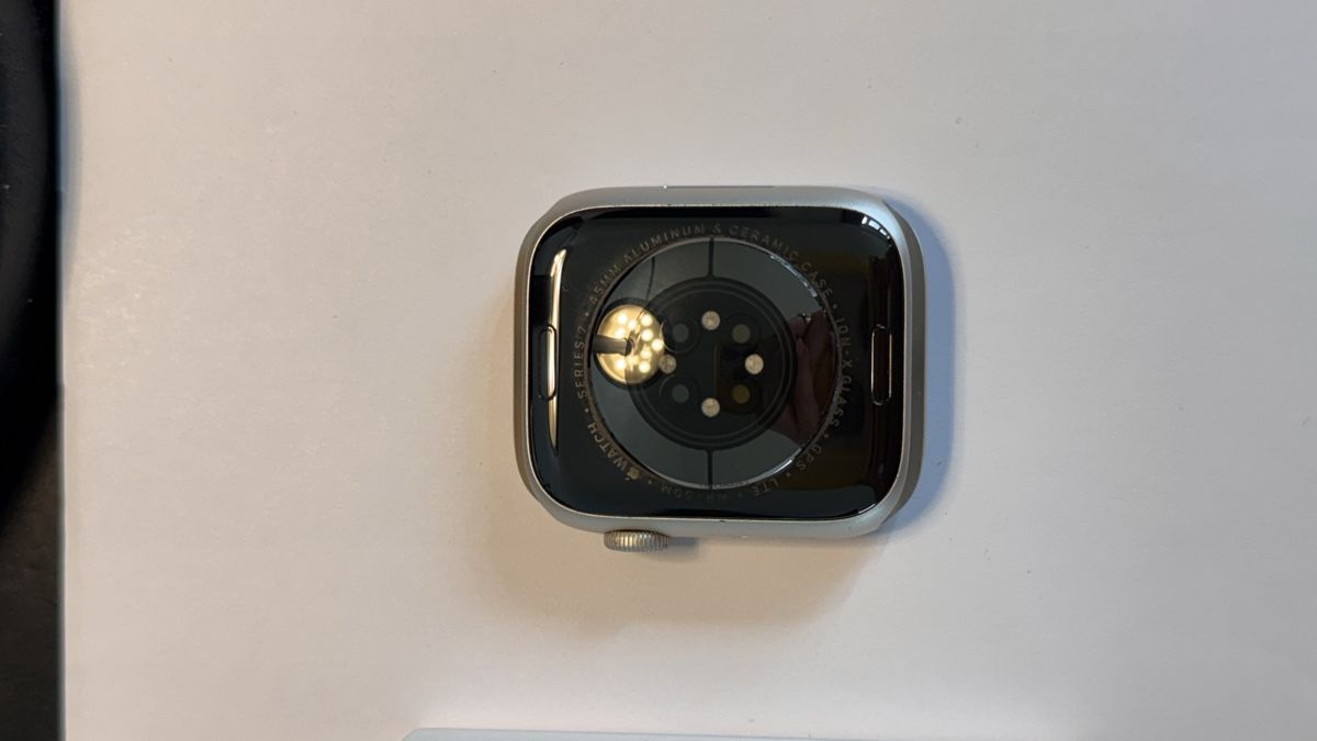 Apple Smartwatch: Apple Watch Series 7 45mm – Usato da Bern venduto da liv_f5lq 3