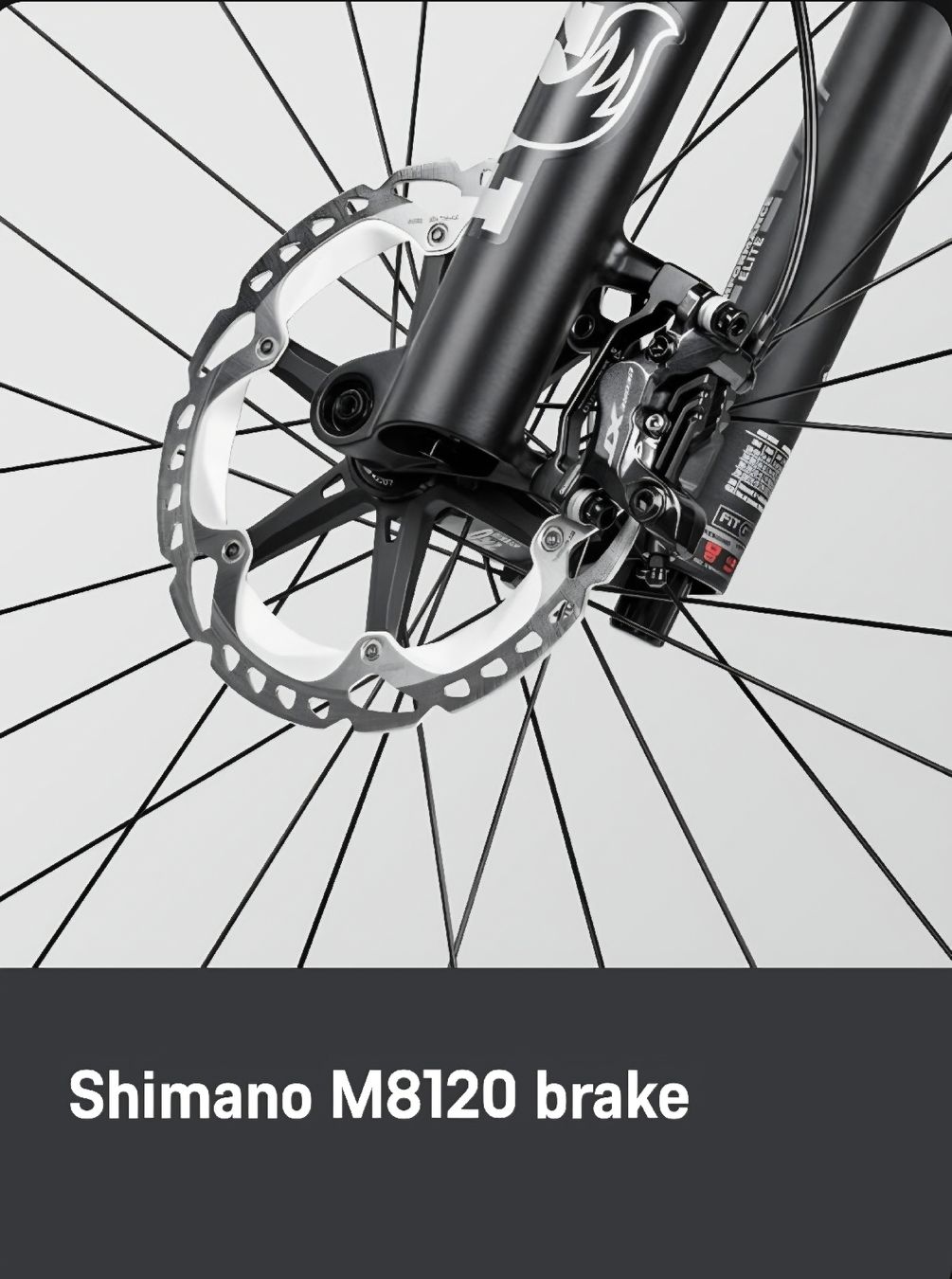 Canyon Biciclette: Canyon Spectral cf9 (M) – Nuovo (secondo la descrizione) da Dänikon ZH venduto da Danielpvz 7
