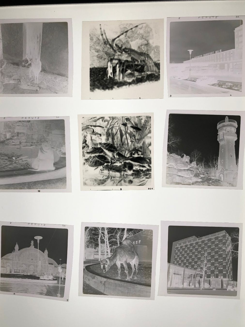 Giocattoli: Negative, 6x6cm, s/w, 69 Stück, vorwiegend Berlin – Usato da Zürich venduto da Baumgarten05 9