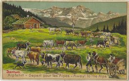 Sentum.  Alpfahrt - Depart pour les Alpes - Away to the Alps