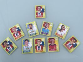 Stickers panini 
