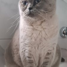 Profile image of Harry_2